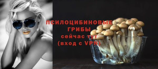скорость Баксан
